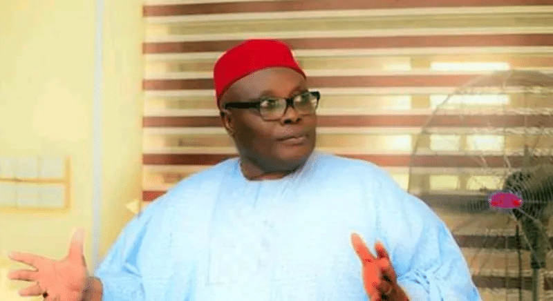 #FreeNnamdiKanu: APC Came To Power Through Protests, Now Scared Of Protests – Wabara Fumes