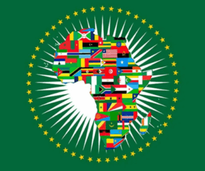African Union suspends Madagascar after military coup ousts civillian president