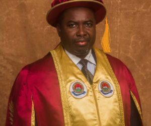 NIGERIA DAILY: The Challenges That Lie Ahead Of Amupitan