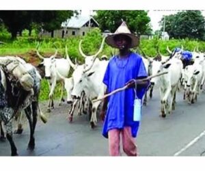 Church raises the alarm over herders’ invasion of Taraba communities