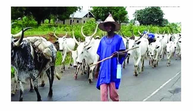 Church raises the alarm over herders’ invasion of Taraba communities