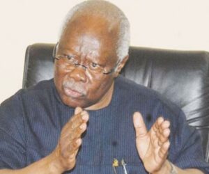 Sule Lamido risks expulsion from PDP – Bode George