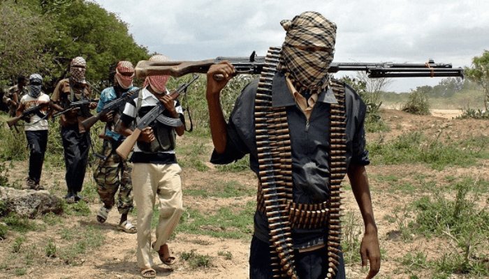 Afenifere decries terror expansion into Southwest states, Kwara, Kogi