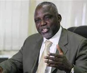 Nnaji advocates one-teacher, one-computer