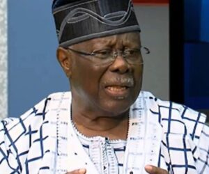 Lamido Is Free To Contest PDP Chairmanship But Can Be Punished For Going To Court – Bode George