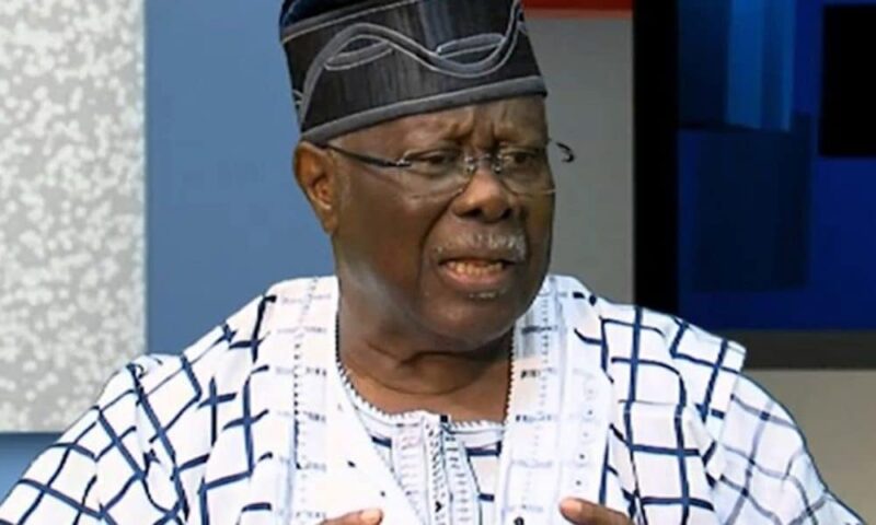 Lamido Is Free To Contest PDP Chairmanship But Can Be Punished For Going To Court – Bode George