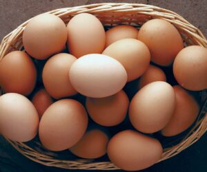 Egg remains cheapest protein source – PAN