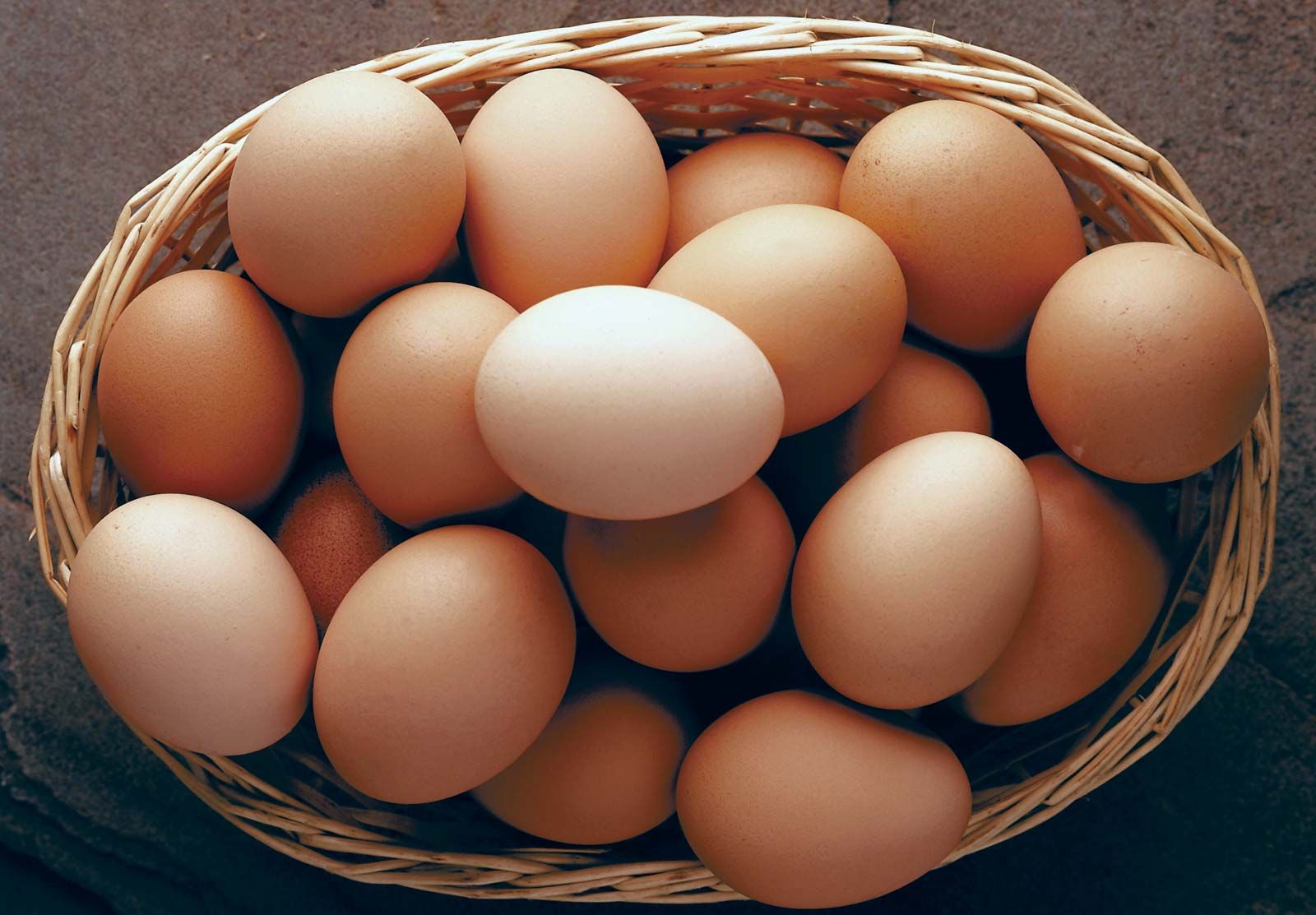 Egg remains cheapest protein source – PAN