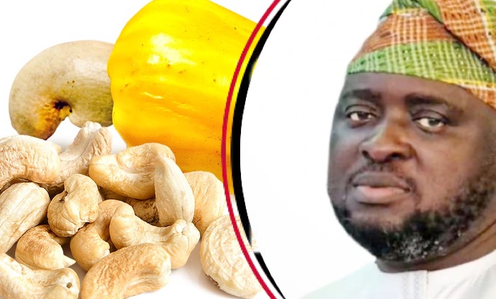 Cashew Vital to Nigeria’s Non-Oil Export Economy, Says Presidency
