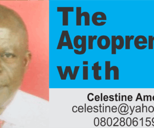 Agribusiness, Most Viable, Rewarding Venture For Retirees (1)