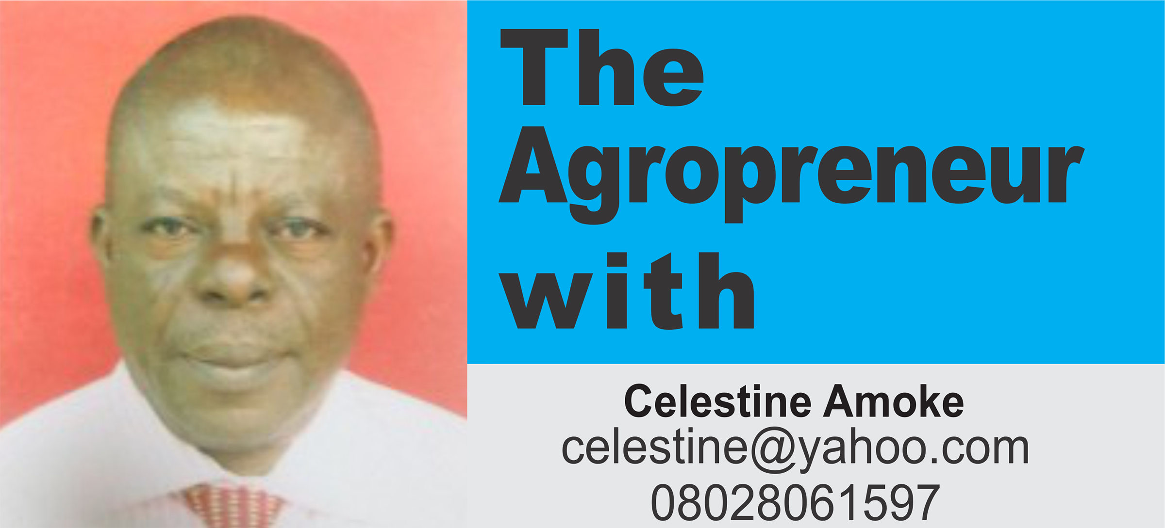 Agribusiness, Most Viable, Rewarding Venture For Retirees (1)