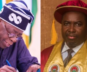 Council of State Approves Tinubu’s Nominee, Prof. Joash Amupitan, as INEC Chairman