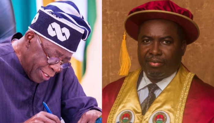 Council of State Approves Tinubu’s Nominee, Prof. Joash Amupitan, as INEC Chairman