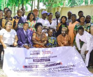 DINABI Engages Health Practitioners On Disability-Inclusive Healthcare Practice