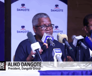 Dangote Targets $55 Billion Annual Revenue For Refinery As Afreximbank Mulls Fresh $5 Billion Credit – Arise News