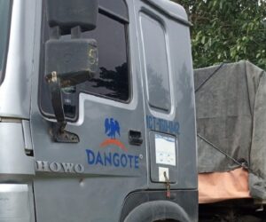 Dangote Truck Crushes Three To Death In Benue