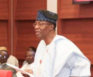 Representation Without Results Is Betrayal – Senator Gbenga Daniel