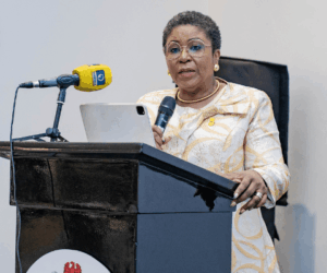 FG targets workforce data integrity, flags off skills gap assessment