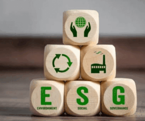 Impact-linked finance: Shaping Africa’s ESG future
