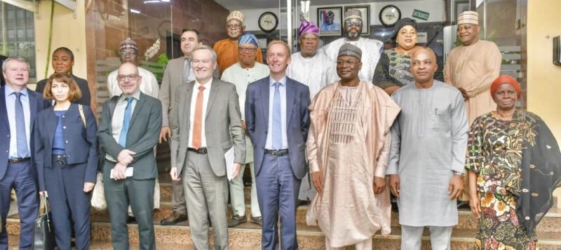 INEC blames national assembly for delay in EU recommendations