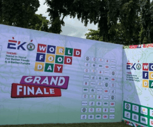 World Food Day: Lagos calls for collective action to tackle hunger