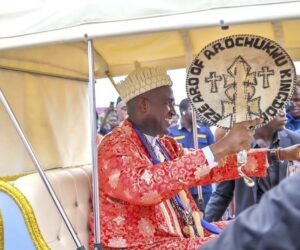 2025 Ikeji Aro Festival: Thrilling cultural showpiece