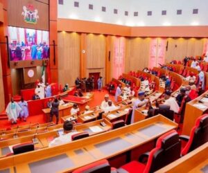 Two new senators take oath of office