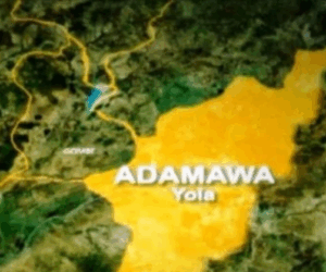 Adamawa state records 8,850 new HIV infections in 4 years