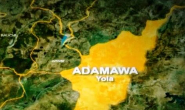 Adamawa state records 8,850 new HIV infections in 4 years