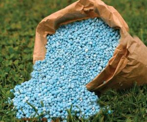 Nigeria risks starvation amid fertiliser boom – Report