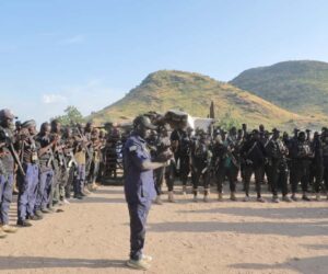 Zulum mobilises fighters as Cameroonian troops withdraw from Borno town – Daily Trust