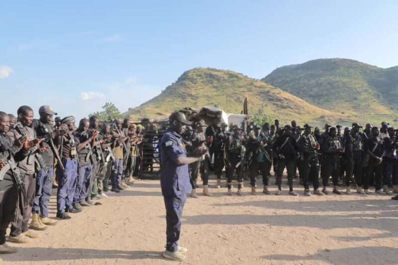 Zulum mobilises fighters as Cameroonian troops withdraw from Borno town – Daily Trust