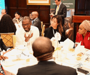 Flutterwave Champions Africa’s Digital Future at UNGA 80 | Tech | Business