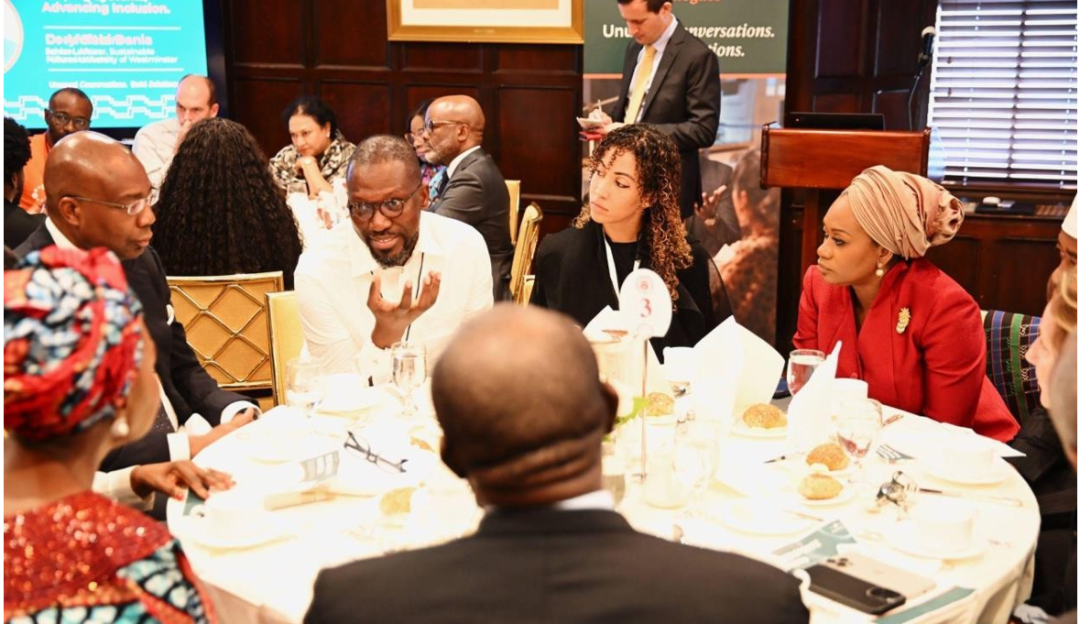 Flutterwave Champions Africa’s Digital Future at UNGA 80 | Tech | Business