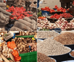 Niger Calls For Collective Action On Food Security