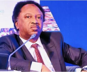 “You don’t need a degree for political office only secondary school certificate is enough”