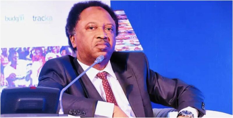 “You don’t need a degree for political office only secondary school certificate is enough”