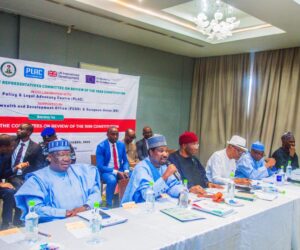 NASS joint committee approves creation of six new states