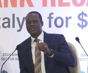 Oyedele urges states to use revenue windfall to deepen human development