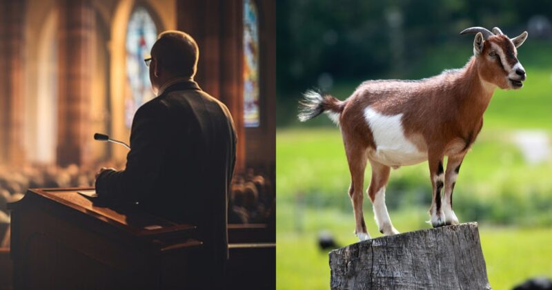 Pastor sparks reactions after burn!ng live goat during church service (WATCH)