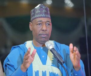 Insurgency: Plan underway to deploy troops around Nigeria/Cameroon border town – Zulum