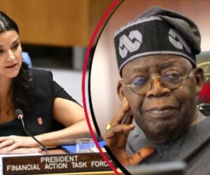 FATF President Congratulates Nigeria, Praises Tinubu Government For Political Will – Arise News