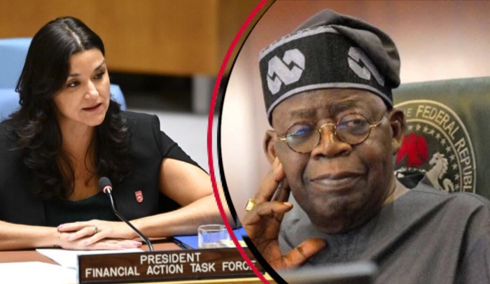 FATF President Congratulates Nigeria, Praises Tinubu Government For Political Will – Arise News