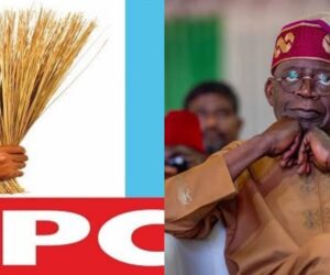 South West backs Tinubu for 2027, APC dismisses PDP claims