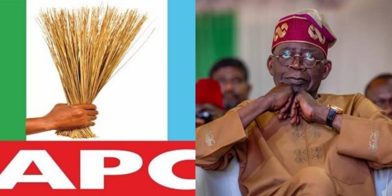 South West backs Tinubu for 2027, APC dismisses PDP claims