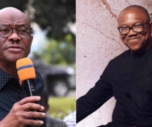 You’ll keep contesting on social media – Wike mocks Peter Obi