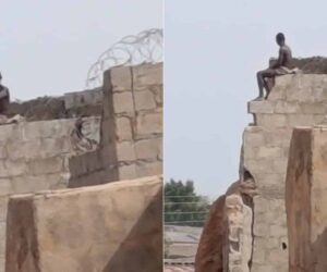 Drama as man climbs building to rant after his in-laws took his wife away