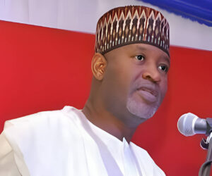 Ex-minister in multi-billion naira fraud case gets university appointment