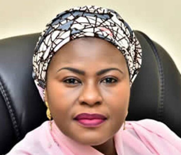 The Cyber Clean-Up: NITDA Calls for a Safer Digital Tomorrow | Tech | Business