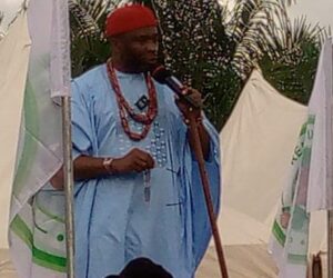 Jumbo Allocations Is Tinubu’s Strategy To Develop States, Says Kalu